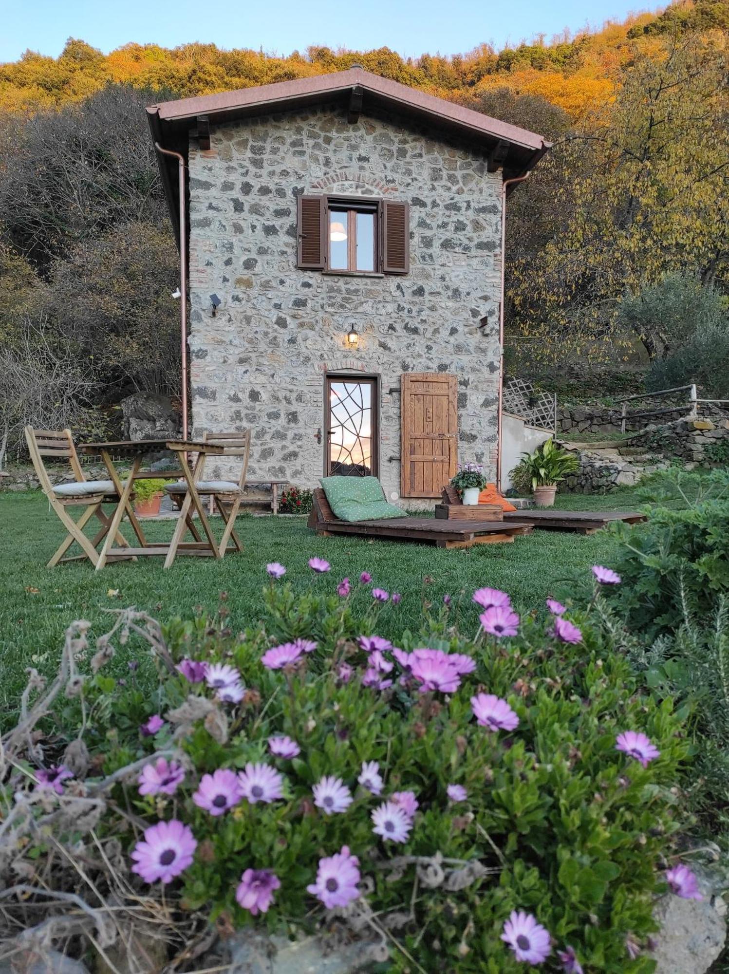 Villa Il Nemus Agriturismo Nemi Exterior foto